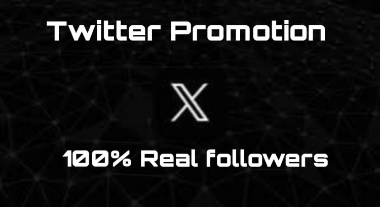 Get Your 1000 Twitter Follower : Promote a Twitter Account Effectively